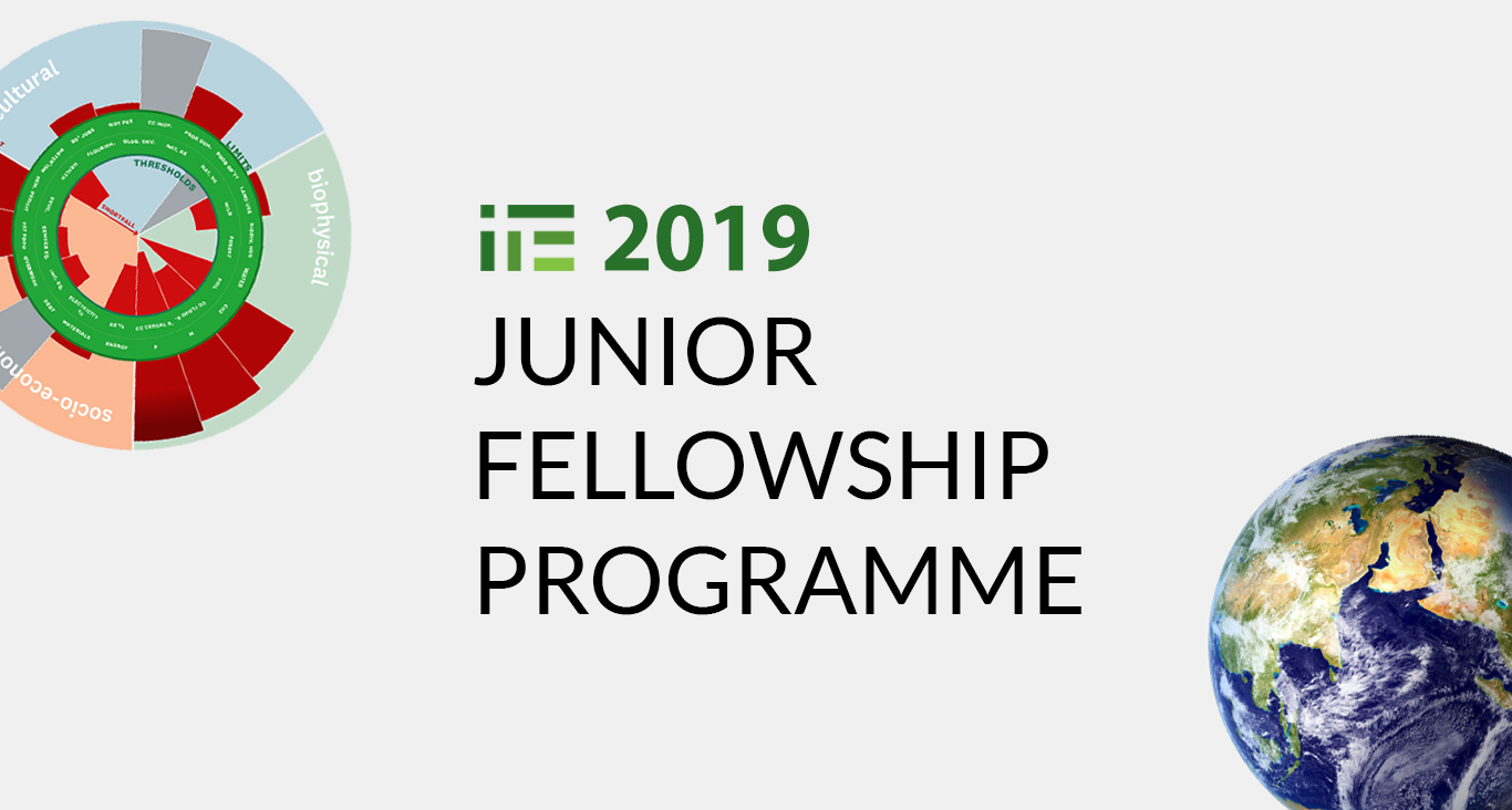 Call for Applications: 2019 IPE Junior Research Fellowship