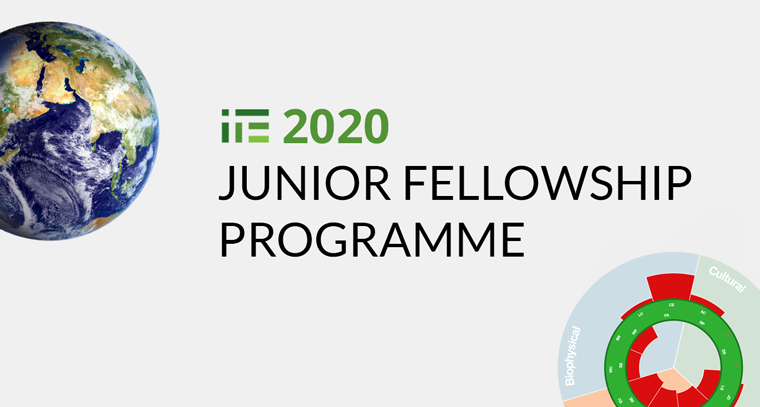 Call for Applications: 2020 IPE Junior Research Fellowship!