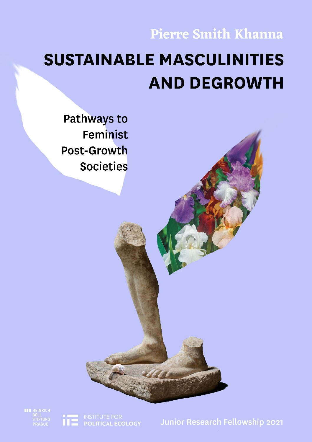 Sustainable Masculinities and Degrowth